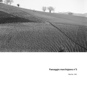 Paesaggio-marchigiano-n--3 (1)   